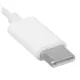 Apple EarPods (USB-C)